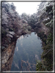 foto Parco forestale nazionale Zhangjiajie